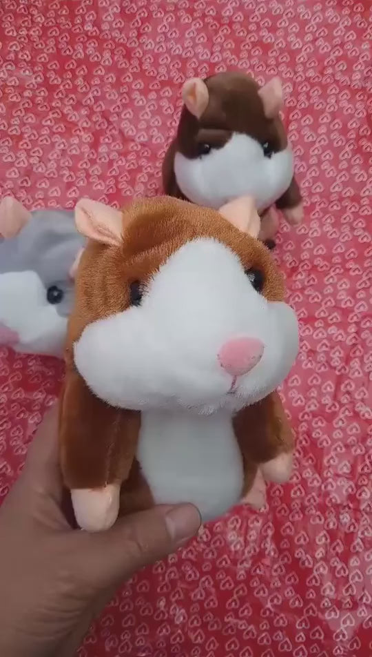 Talking Hamster