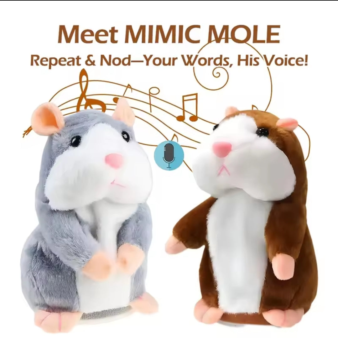 Talking Hamster